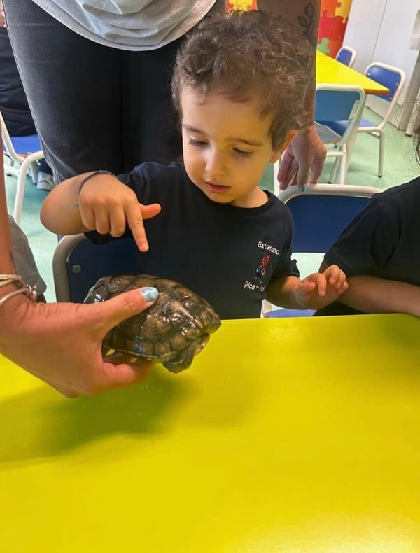 Externato Pica-Pau entrega bens recolhidos ao Parque dos Bichos  — foto 12