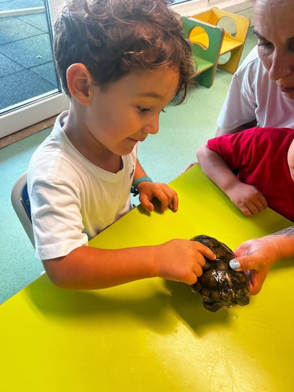 Externato Pica-Pau entrega bens recolhidos ao Parque dos Bichos  — foto 13