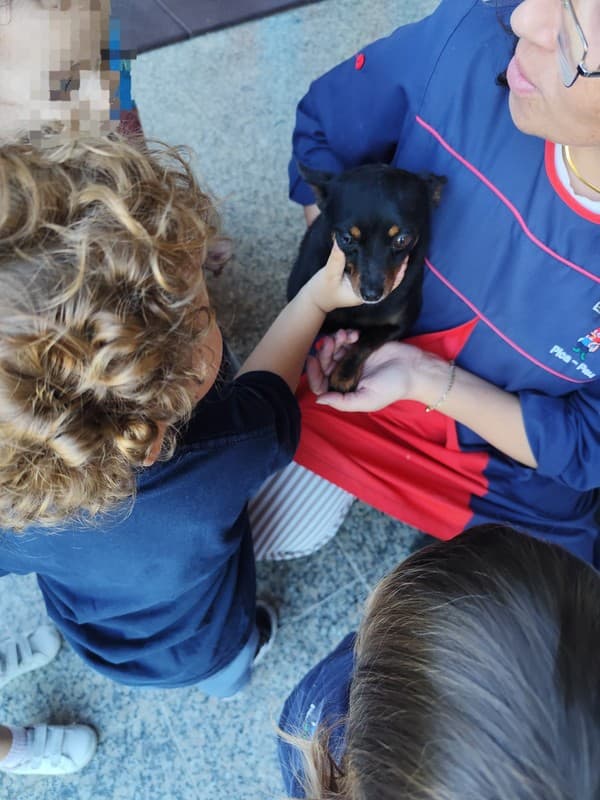 Externato Pica-Pau entrega bens recolhidos ao Parque dos Bichos  — foto 14