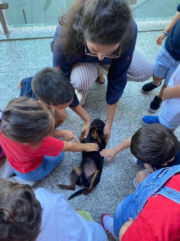 Externato Pica-Pau entrega bens recolhidos ao Parque dos Bichos  — foto 15