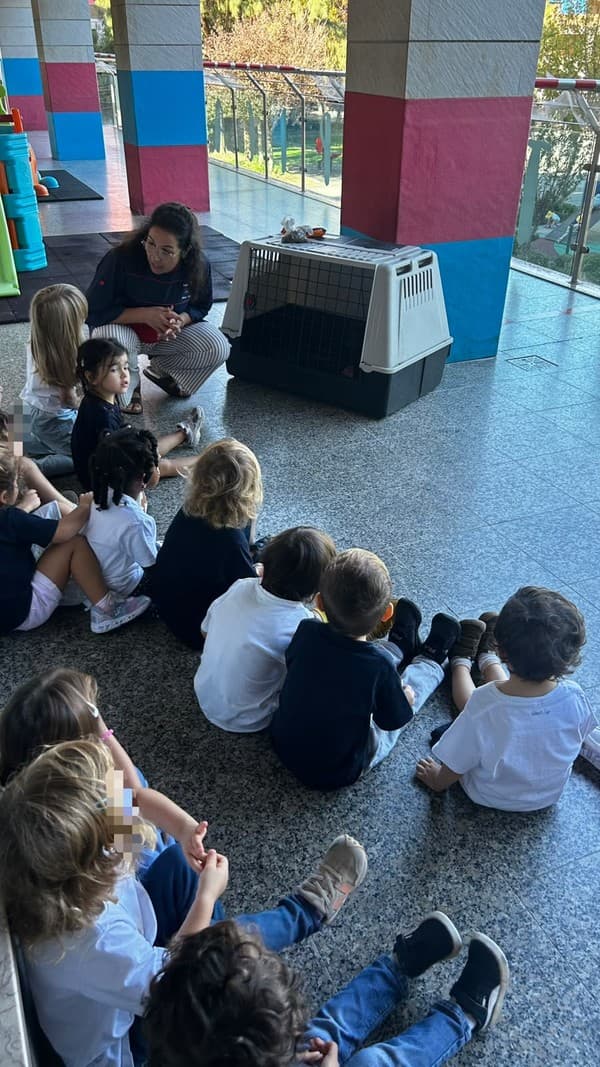 Externato Pica-Pau entrega bens recolhidos ao Parque dos Bichos  — foto 18