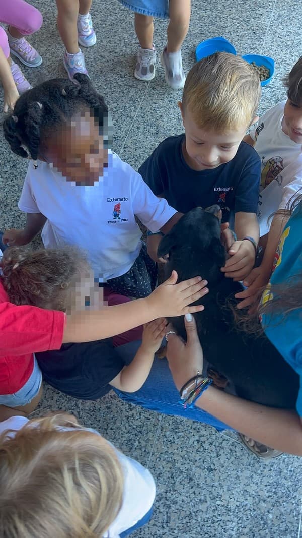 Externato Pica-Pau entrega bens recolhidos ao Parque dos Bichos  — foto 24