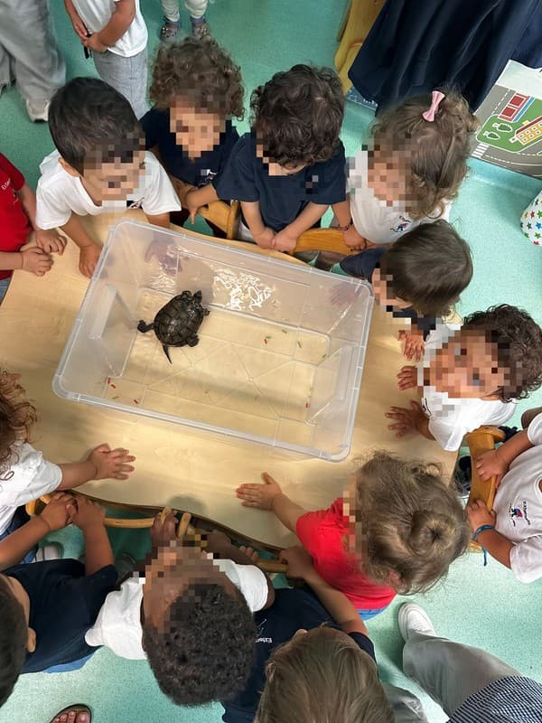 Externato Pica-Pau entrega bens recolhidos ao Parque dos Bichos  — foto 26