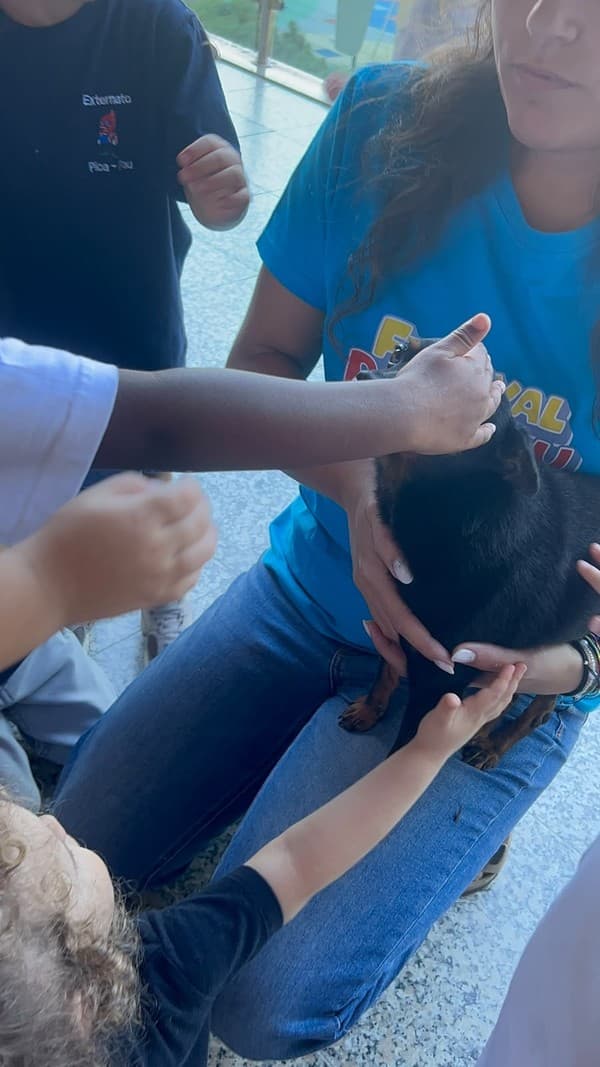 Externato Pica-Pau entrega bens recolhidos ao Parque dos Bichos  — foto 27