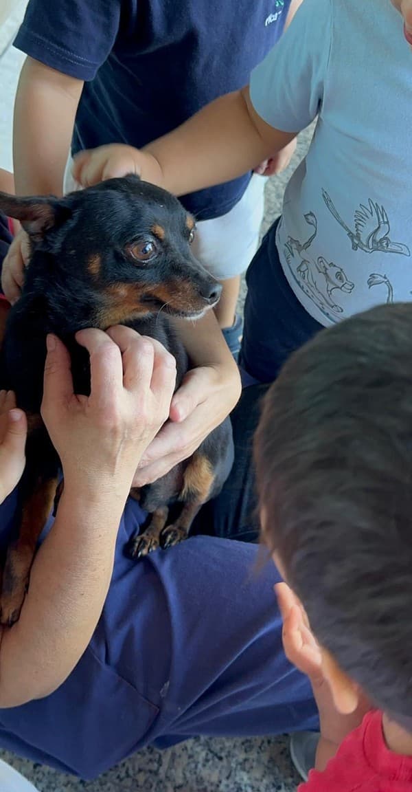 Externato Pica-Pau entrega bens recolhidos ao Parque dos Bichos  — foto 31