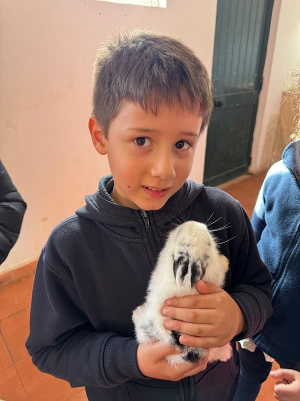 Colónia de Férias de Natal levou alunos até à Quintinha da Paiã — foto 15