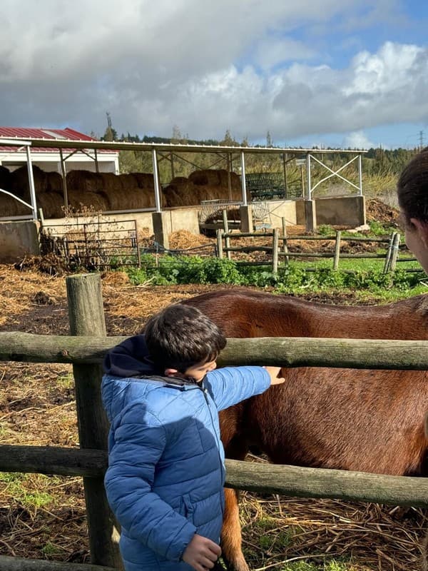 Colónia de Férias de Natal levou alunos até à Quintinha da Paiã — foto 16