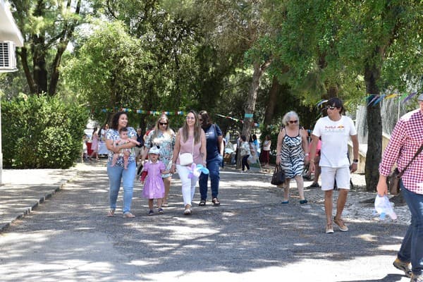 3.ª Edição do Festival do Pica-Pau — foto 4