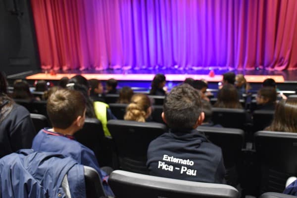 Externato Pica-Pau foi ao Teatro — foto 2
