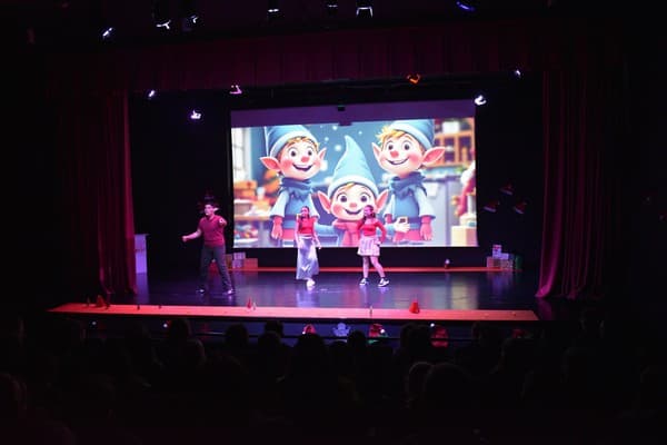 Externato Pica-Pau foi ao Teatro — foto 3