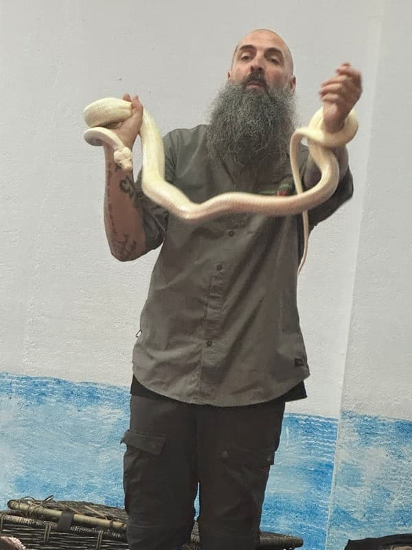 Animais Exóticos no Externato Pica-Pau — foto 2