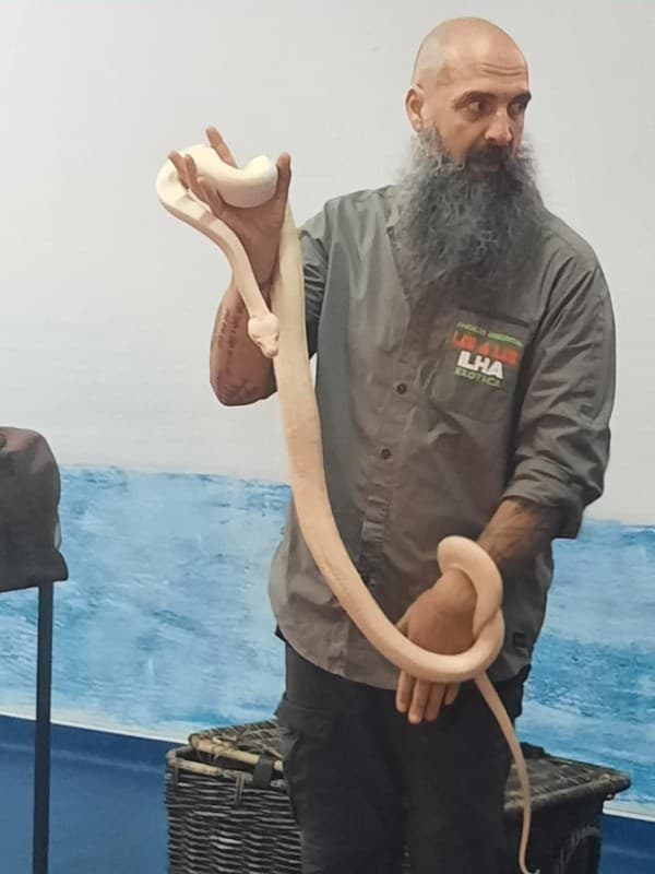 Animais Exóticos no Externato Pica-Pau — foto 5
