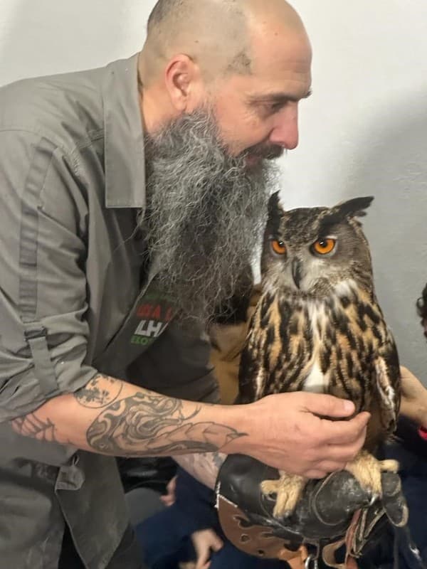 Animais Exóticos no Externato Pica-Pau — foto 8