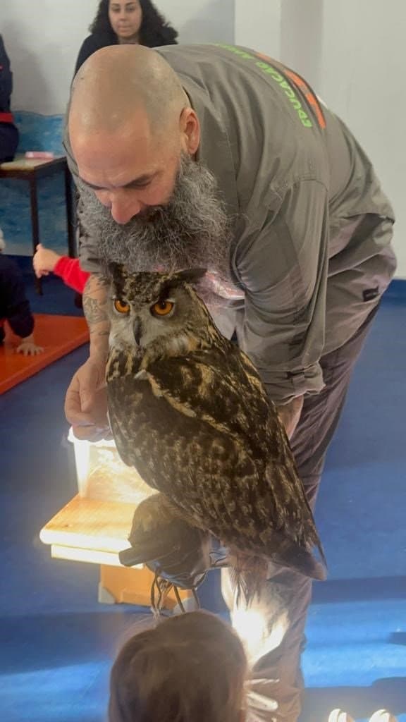 Animais Exóticos no Externato Pica-Pau — foto 7