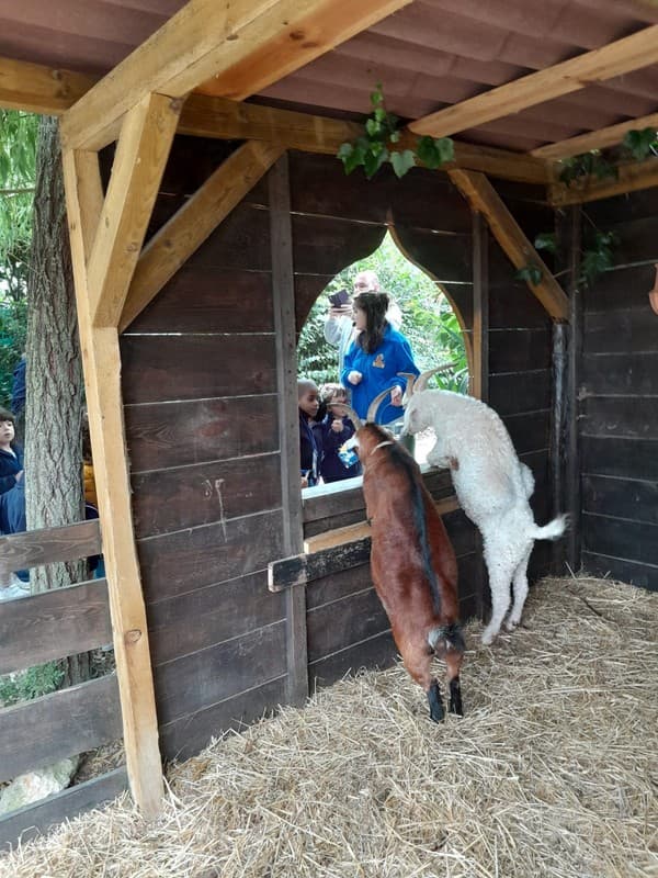 Dia da Criança no Externato Pica-Pau do Jardim da Amoreira  — foto 6