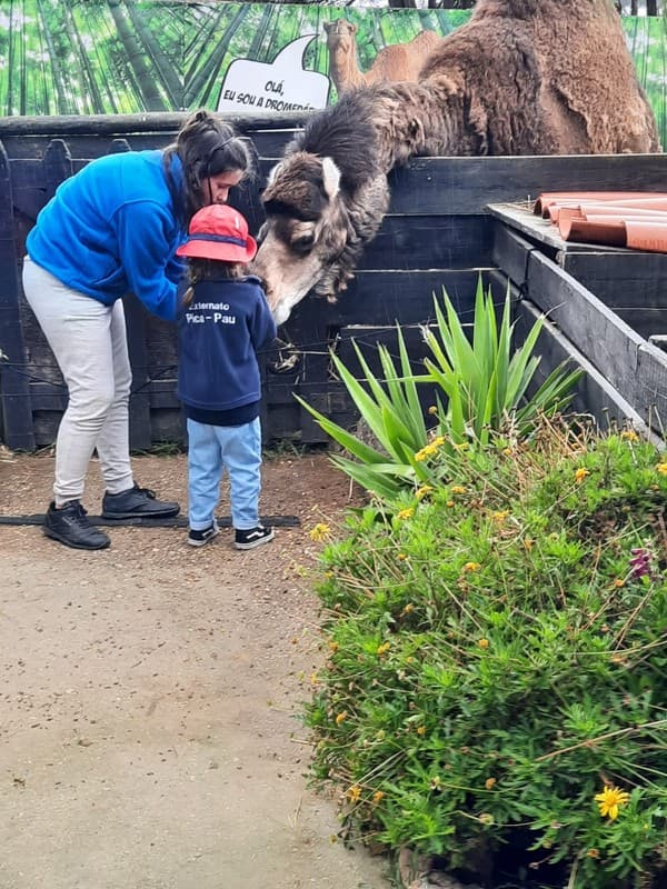 Dia da Criança no Externato Pica-Pau do Jardim da Amoreira  — foto 8