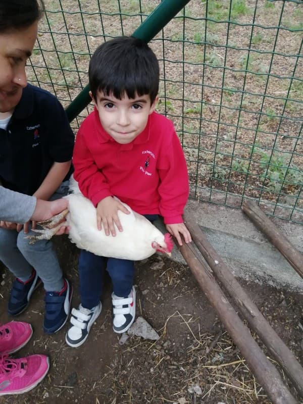 Dia da Criança no Externato Pica-Pau do Jardim da Amoreira — foto 1