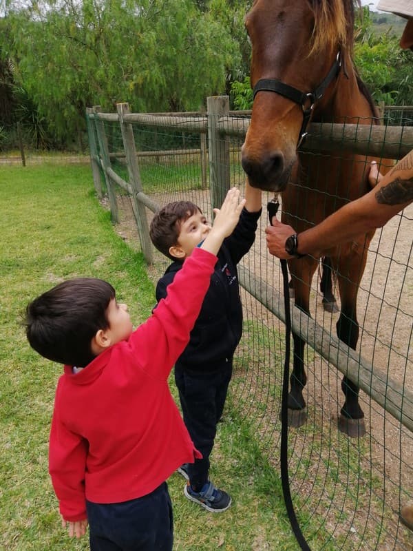 Dia da Criança no Externato Pica-Pau do Jardim da Amoreira — foto 5