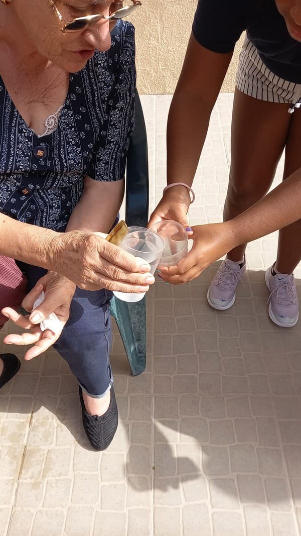 Alunos do 3.º ano celebram o Dia Internacional do Idoso — foto 14
