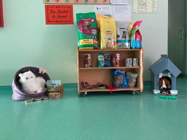 Dia do animal no Externato Pica-Pau — foto 4