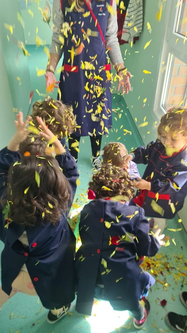 Festa das Pétalas na Sala das Estrelinhas — foto 2