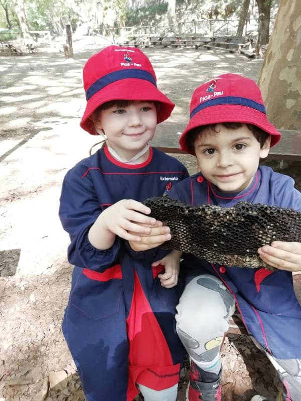 Turmas dos 4 anos em visita à Tapada de Mafra — foto 3