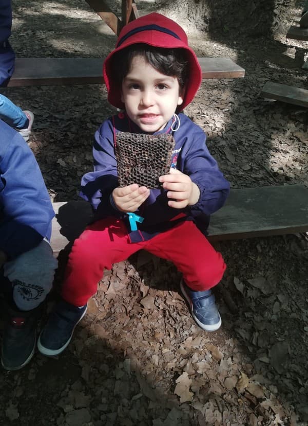 Turmas dos 4 anos em visita à Tapada de Mafra — foto 8