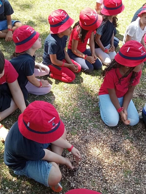 Externato Pica-Pau da Serra da Amoreira em visita de final de ano letivo — foto 11