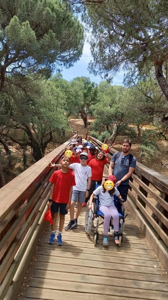 Externato Pica-Pau da Serra da Amoreira em visita de final de ano letivo — foto 10