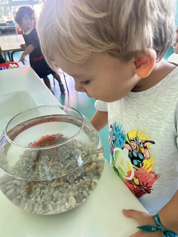 Dia Mundial do Animal — foto 6