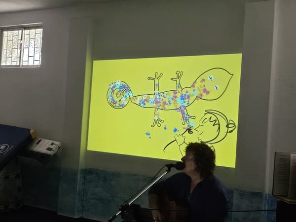 Livros Infantis apresentados no Externato Pica-Pau — foto 3