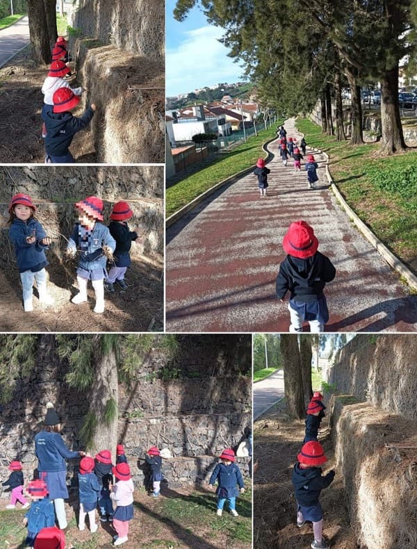 Aprender com o Inverno — foto 2
