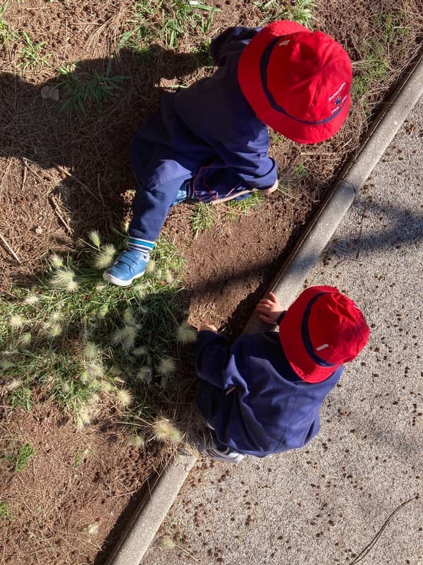 Exploradores e Abelhinhas deram as boas-vindas à Primavera — foto 2