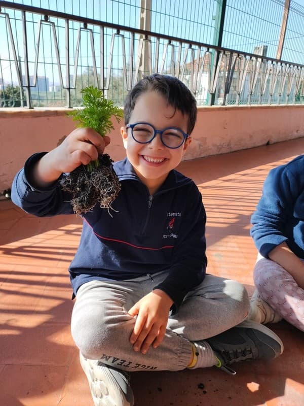 Grupo dos Pipocas explora o mundo das plantas através de projeto educativo — foto 1