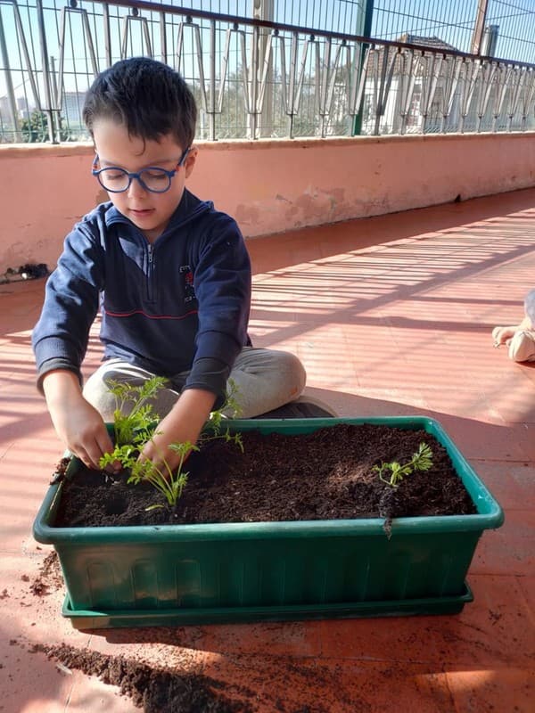 Grupo dos Pipocas explora o mundo das plantas através de projeto educativo — foto 6