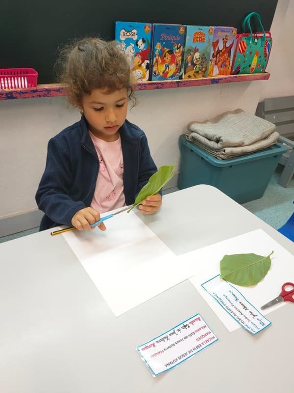 Grupo dos Pipocas explora o mundo das plantas através de projeto educativo — foto 7
