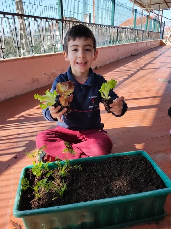 Grupo dos Pipocas explora o mundo das plantas através de projeto educativo — foto 8