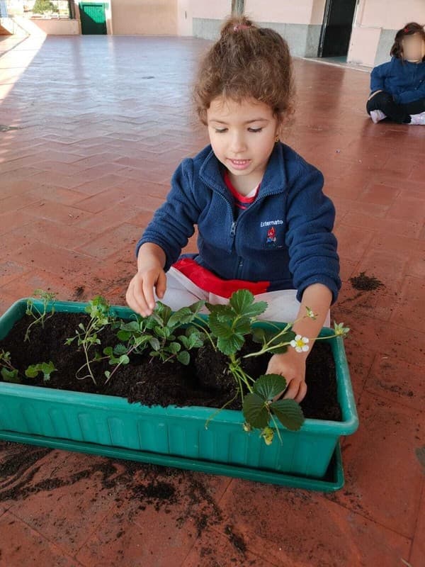 Grupo dos Pipocas explora o mundo das plantas através de projeto educativo — foto 10