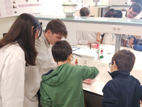 Turma do 4.º ano em visita à Semana da Ciência