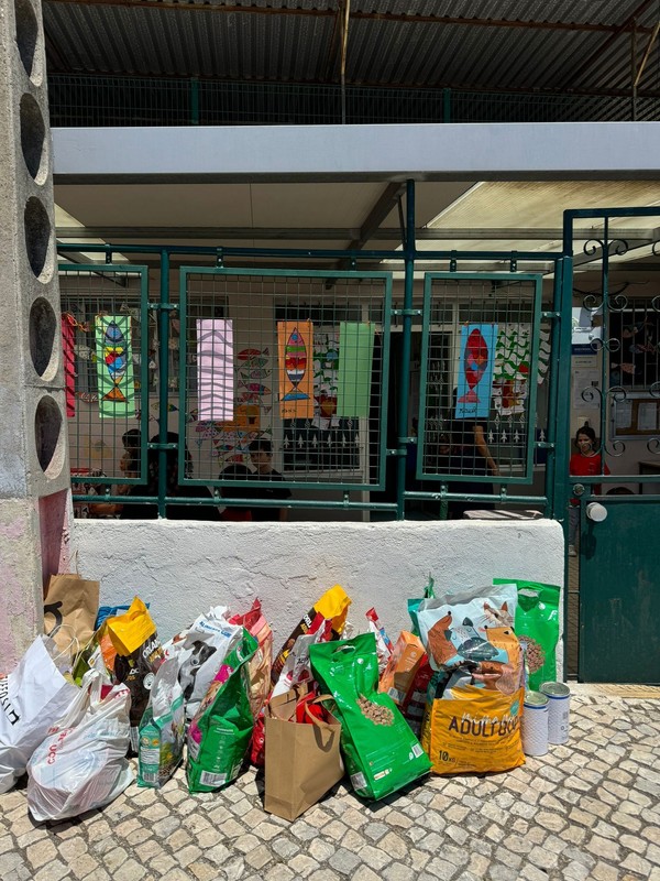 Ação solidária no Parque dos Bichos