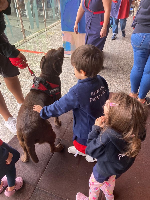 Os animais foram à escola