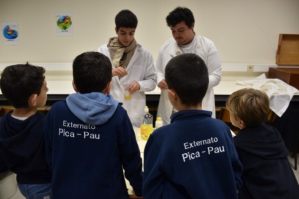 Alunos do 4.º ano são Pequenos Cientistas durante uma manhã
