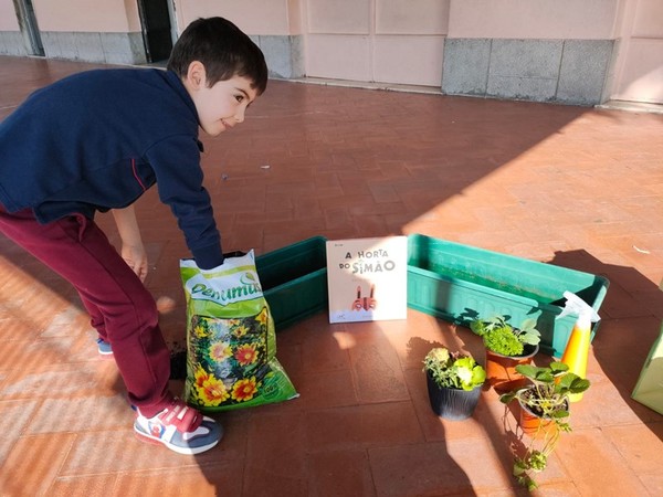Grupo dos Pipocas explora o mundo das plantas através de projeto educativo