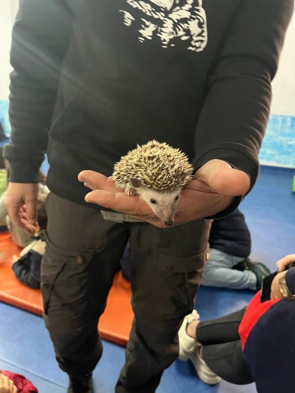 Animais Exóticos no Externato Pica-Pau