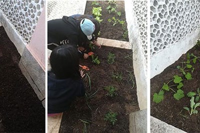 Da Horta à Prática de uma Alimentação Saudável