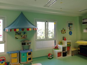 pica-pau-jardim-005