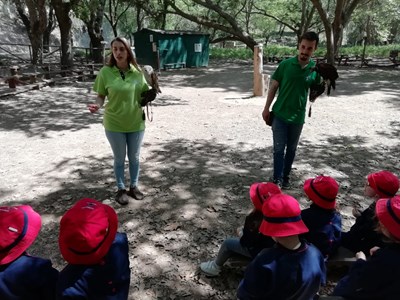 Turmas dos 4 anos em visita à Tapada de Mafra