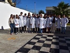 dsc-0033