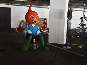 dsc-0469