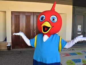 dsc-0496
